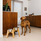 GULA DOG CARE -ruokakulho