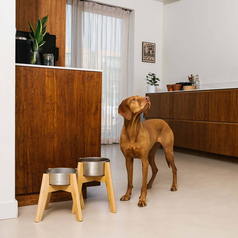 GULA DOG CARE -ruokakulho