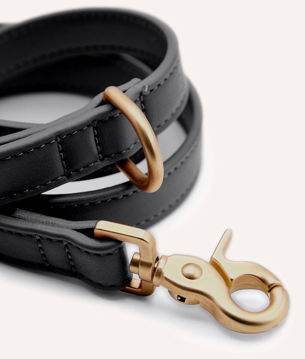 CAFIDE Jala Lignify® -koiran hihna 1,45 m
