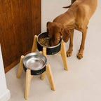 GULA DOG CARE -bambujalusta