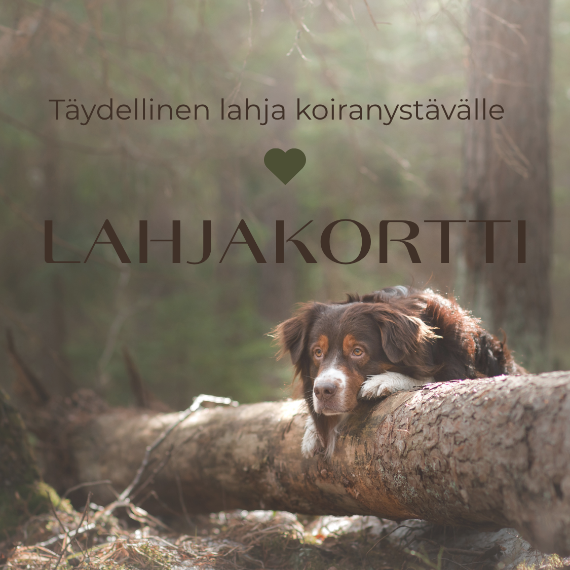 Lahjakortti - Pohjolan Koiratalo